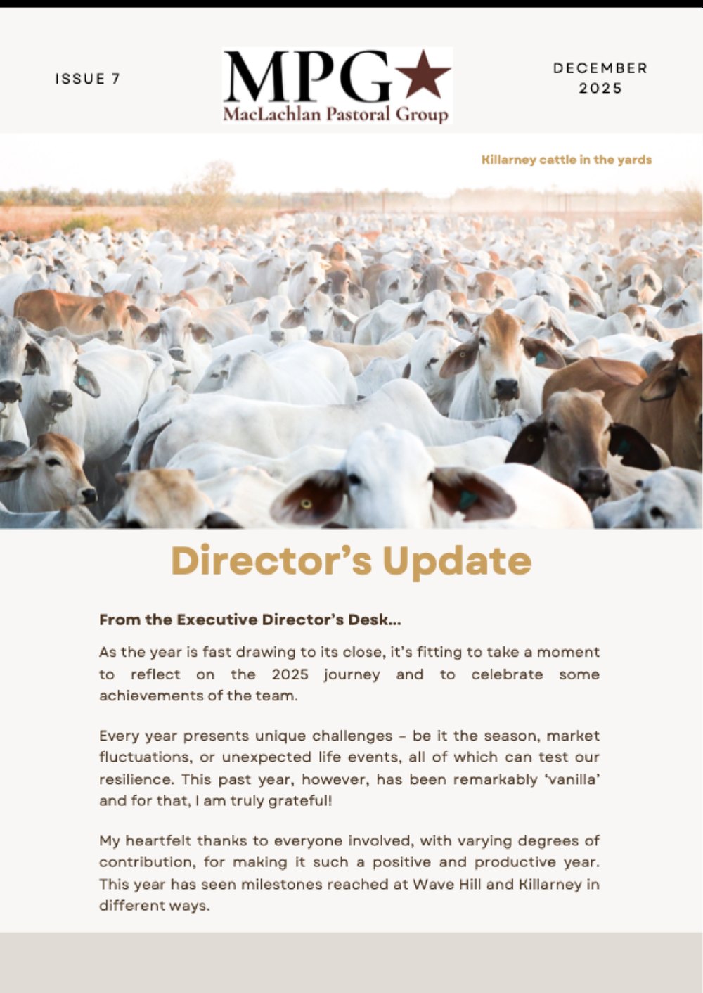 Cover of Issue 7, December 2025: Killarney cattle in the yards