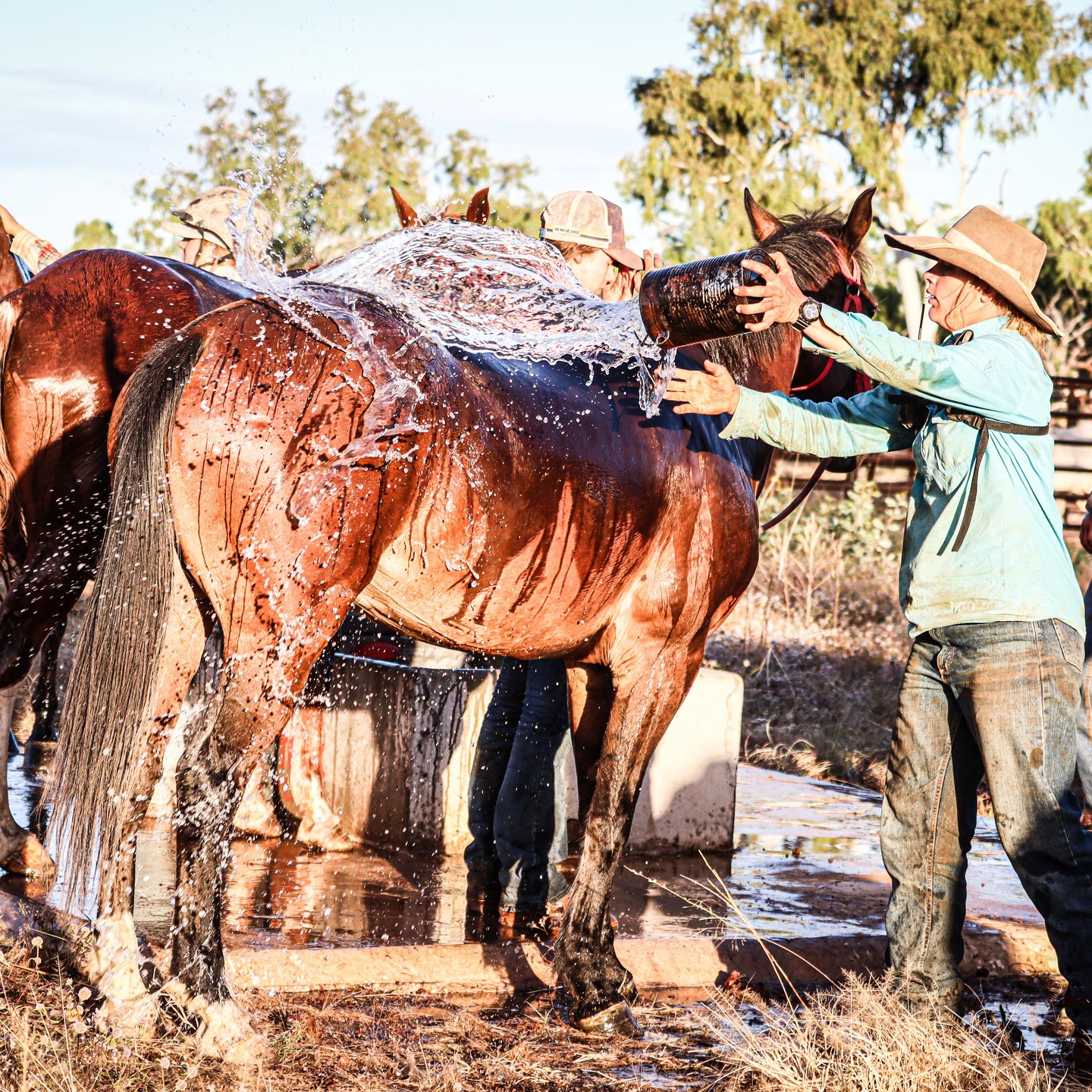 Washing down a horse at the end of the day